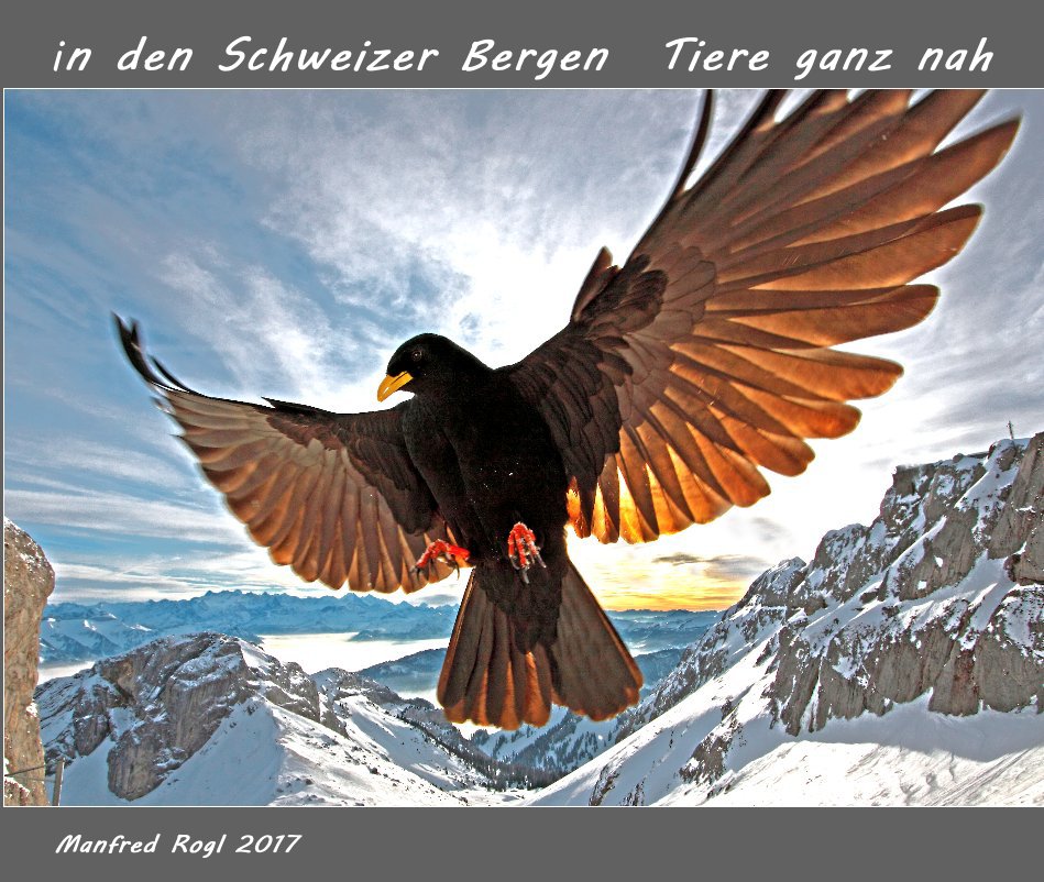 Ver in den schweizer Bergen por Manfred Rogl