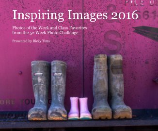Inspiring Images 2016 book cover