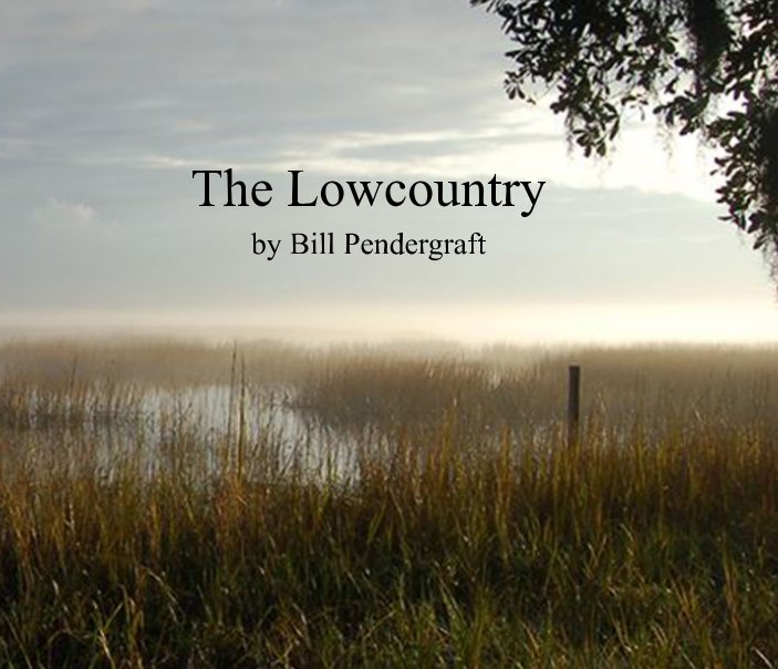 View The Lowcountry by Bill Pendergraft