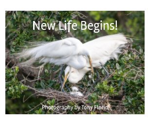 New Life Begins! book cover