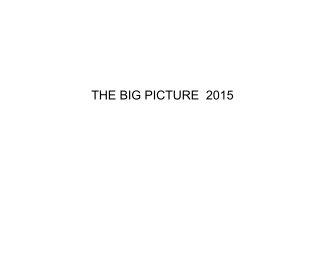 THE BIG PICTURE  2015 book cover