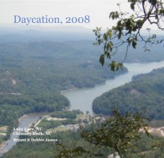 Daycation, 2008 book cover