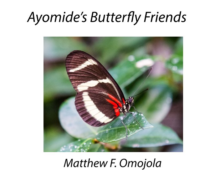 View Ayomide's butterfly friends by Matthew F. Omojola