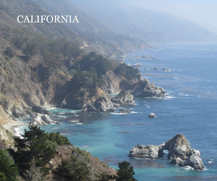 View CALIFORNIA by Robert Pfunder