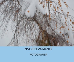 NATURFRAGMENTE FOTOGRAFIEN book cover