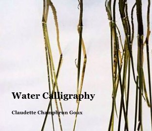 Water Calligraphy book cover