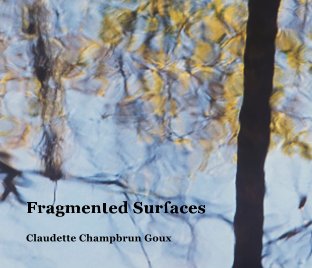 Fragmented Surfaces book cover