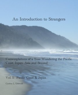 An Introduction to Strangers book cover