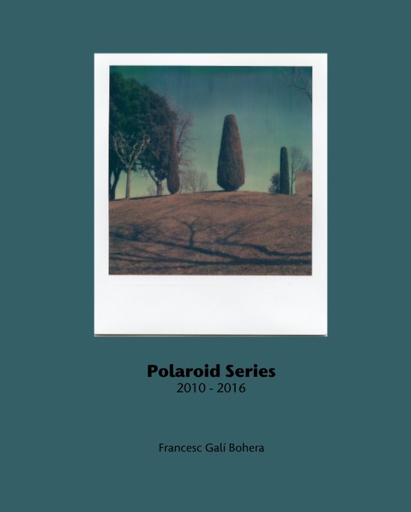 Bekijk Polaroid Series 2010 - 2016 op Francesc Galí Bohera