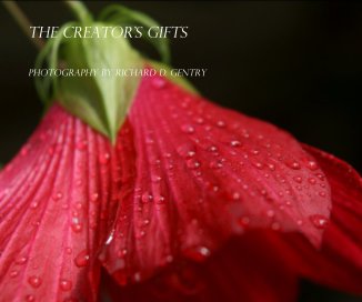 The Creator'S Gifts book cover