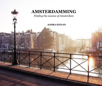 Amsterdamming book cover