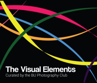 The Visual Elements book cover