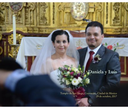 Daniela y Luis book cover