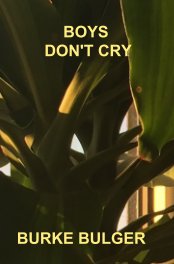 Boys Don't Cry book cover