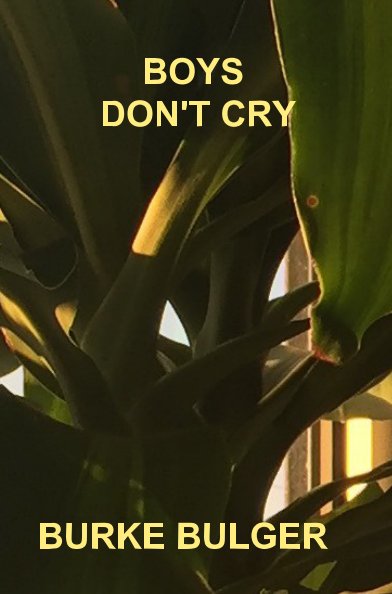 View Boys Don't Cry by Burke Bulger