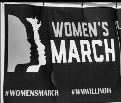 Womens March - Peoria illinois book cover