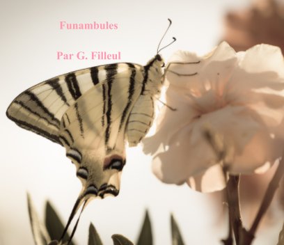 Funambules book cover