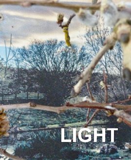 LIGHT book cover