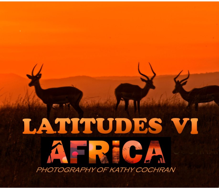 View LATITUDES VI: AFRICA by Kathy A. Cochran