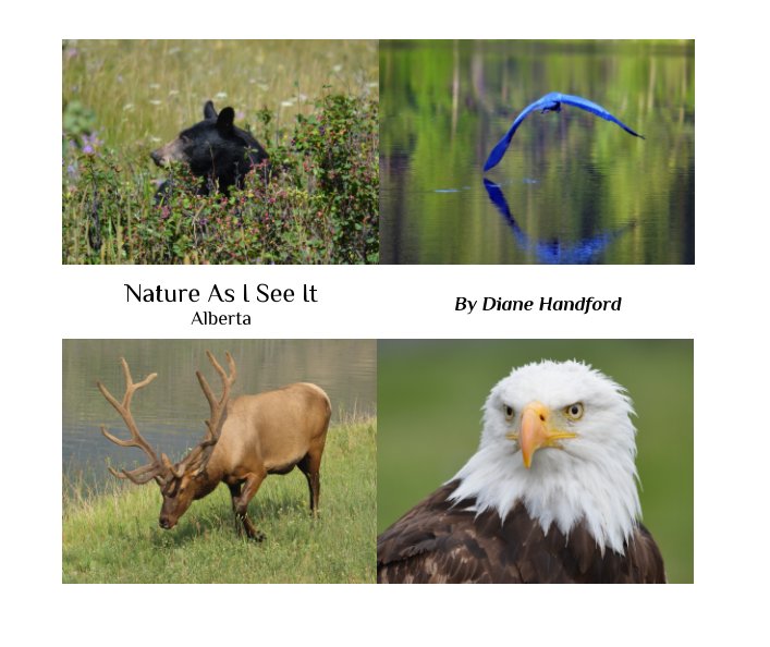 View Nature As I See It by Diane Handford