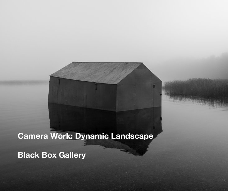 View Camera Work: Dynamic Landscape by Black Box Gallery