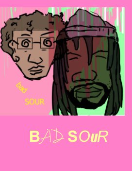 badsour book cover