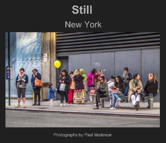 View Still New York (V2.0) by Paul Mutimear