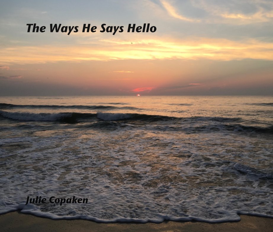 Ver The Ways He Says Hello por Julie Copaken