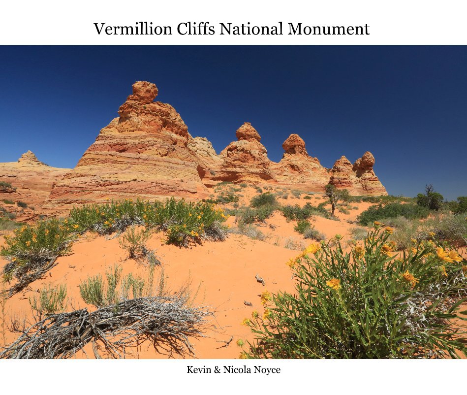 View Vermillion Cliffs National Monument by Kevin & Nicola Noyce