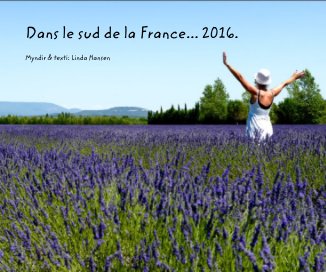 Dans le sud de la France... 2016. book cover