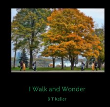I Walk and Wonder book cover