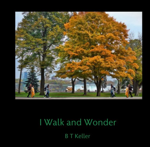 Ver I Walk and Wonder por B T Keller