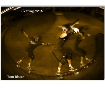 Skating 2016 book cover