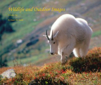 Wildlife and Outdoor Images book cover