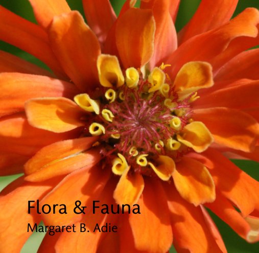 View Flora & Fauna by Margaret B. Adie