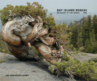 Bay Island Bonsai (hard back) book cover