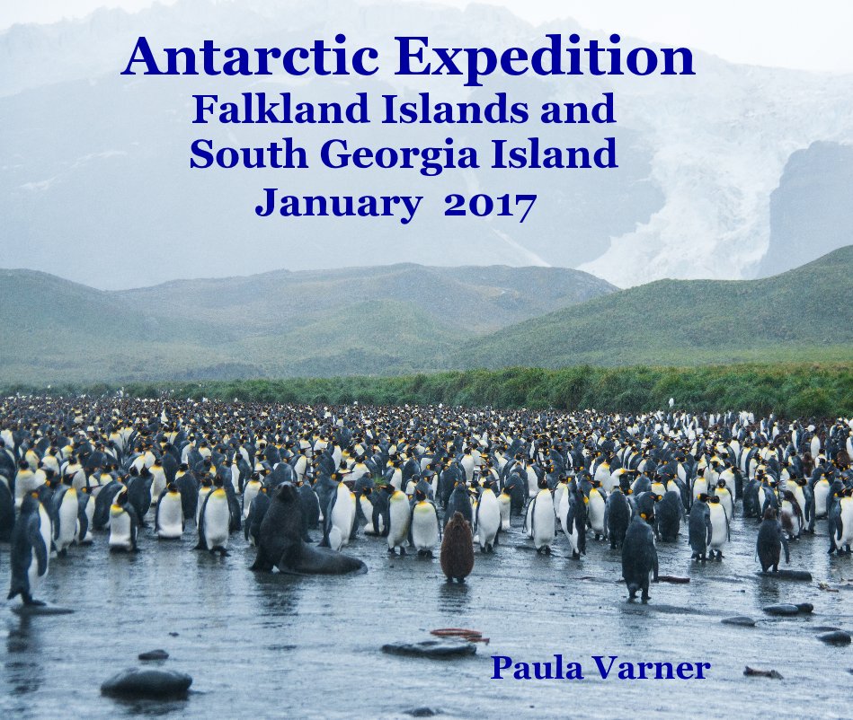View Antarctic Expedition Falkland Islands and South Georgia Island January 2017 by Paula Varner
