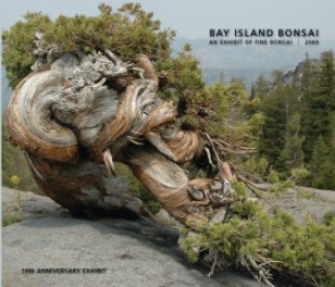Bay Island Bonsai (paper back) book cover