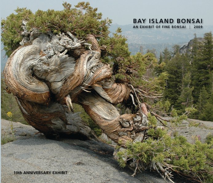 View Bay Island Bonsai (paper back) by Boon Manakitivipart