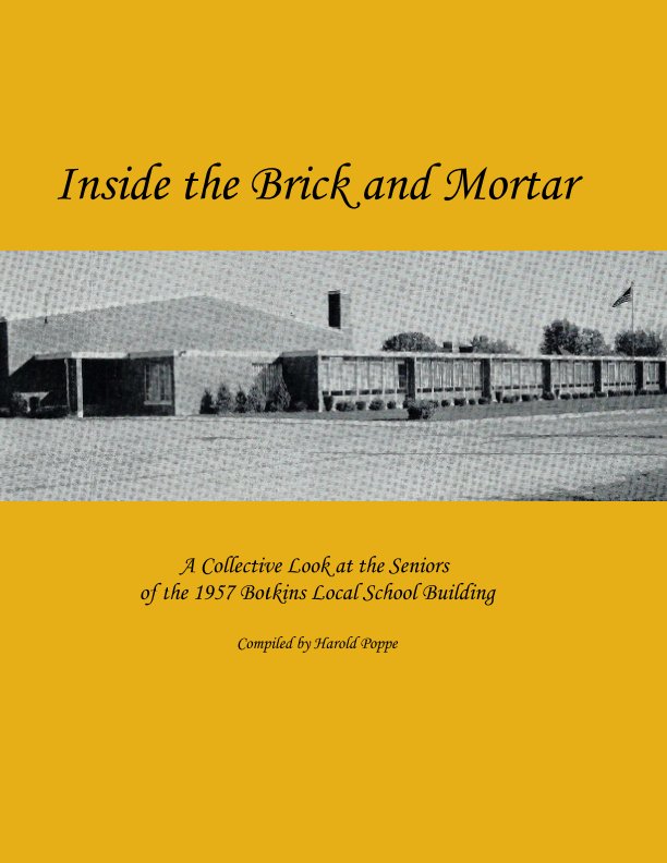 View Inside the Brick and Mortar by Harold Poppe
