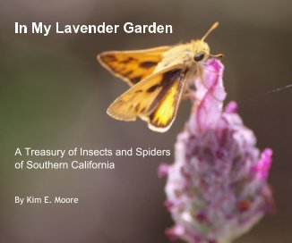 In My Lavender Garden book cover