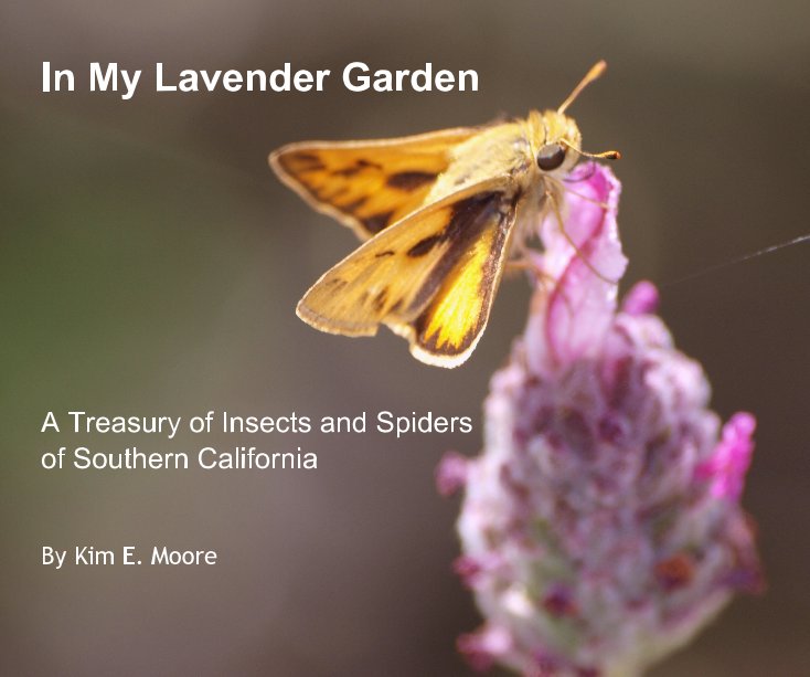 View In My Lavender Garden by Kim Moore