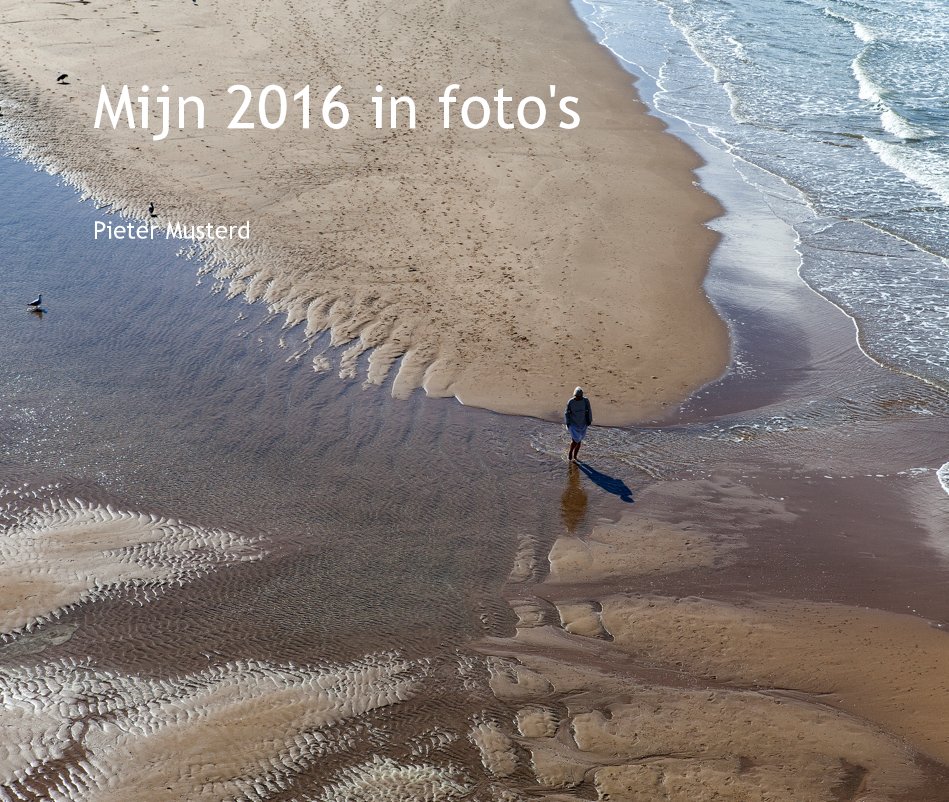 Visualizza Mijn 2016 in foto's di Pieter Musterd