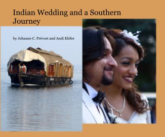 Indian Wedding and a Southern Journey book cover