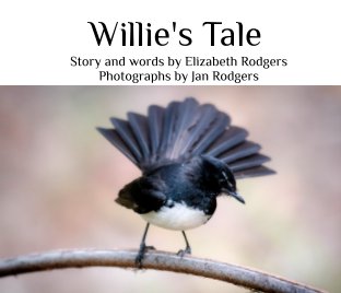 Willie's Tale book cover