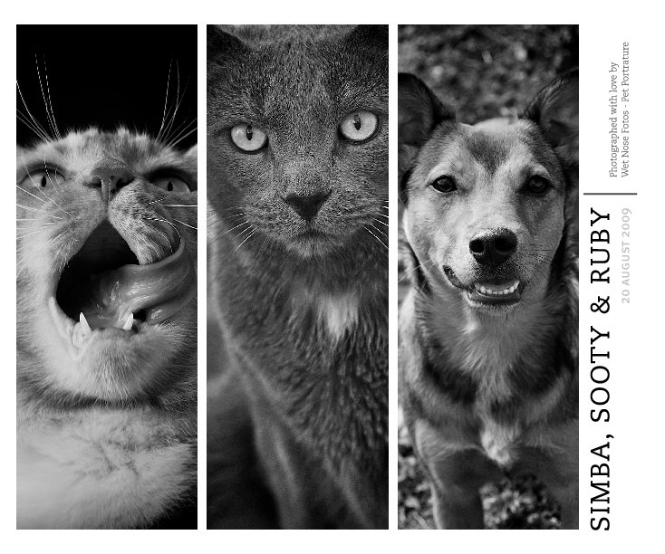 View Simba, Sooty & Ruby by Wet Nose Fotos