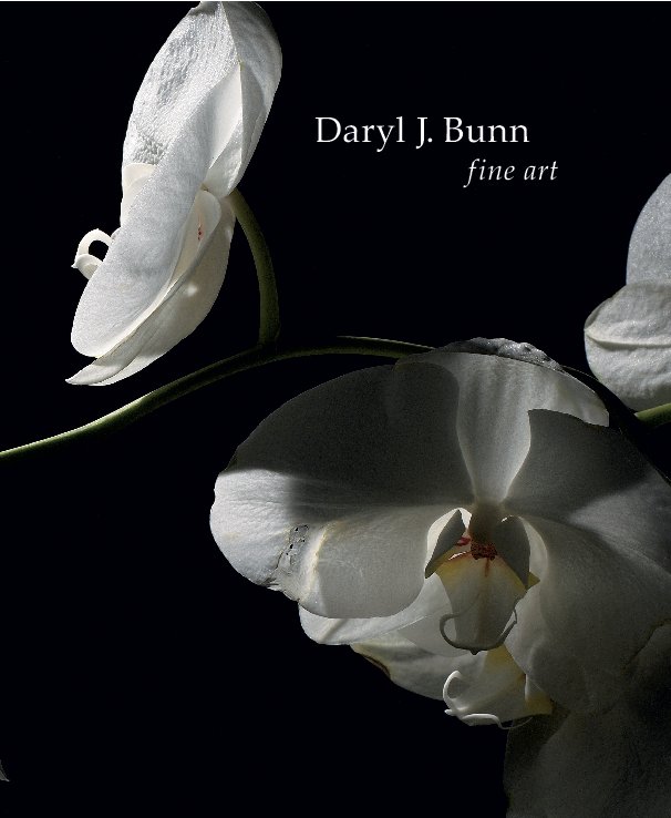 View Daryl Bunn Fine Art by Daryl Bunn