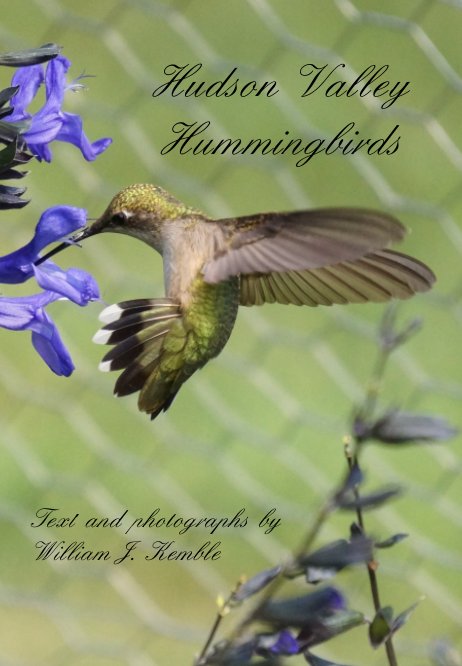 Visualizza Hudson Valley Hummingbirds di William J. Kemble