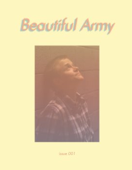 Beautiful Army book cover