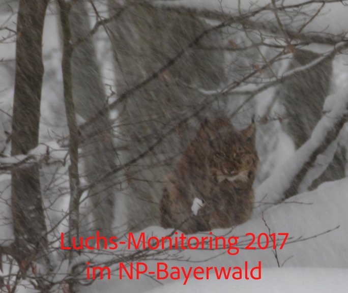 Visualizza Luchs-Monitoring 2017 im NP-Bayerwald di Andreas Grunwald
